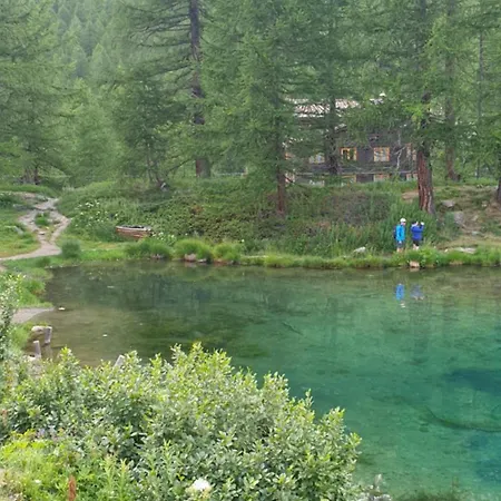 Profumo Di Legno A Cielo Alto La Coquille *